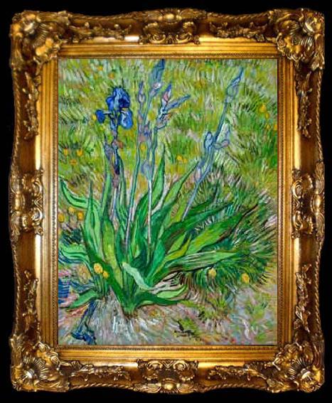 framed  Vincent Van Gogh thinned cardboard, ta009-2